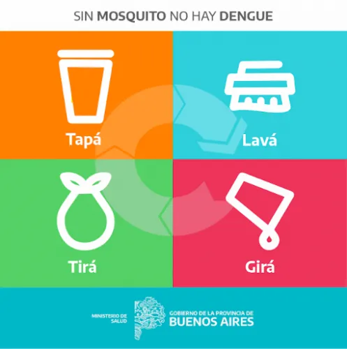 dengue (1)