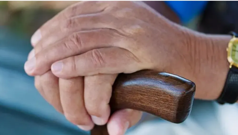 nota-1729107-gobierno-oficializo-pago-bono-70000-para-jubilados-anses-quienes-cobraran-1079630