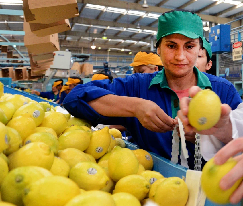 720 - 2025-07-15T085009.704