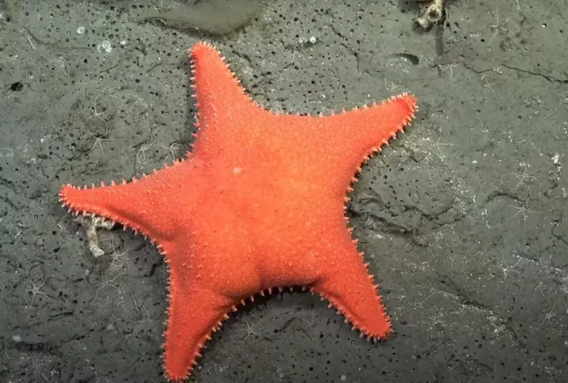 Captura de pantalla 2025-11-27 093434