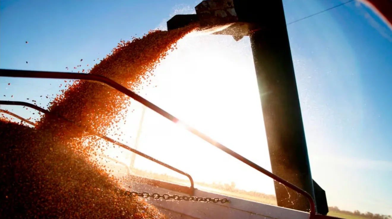 Screenshot_20240610_172910_Chrome