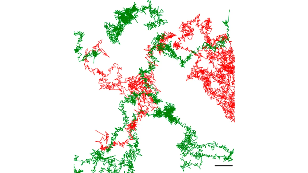 720 - 2025-09-10T084540.319