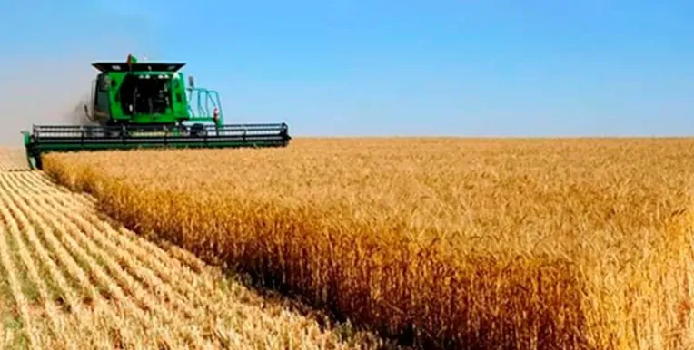 Captura de pantalla 2025-11-10 072210