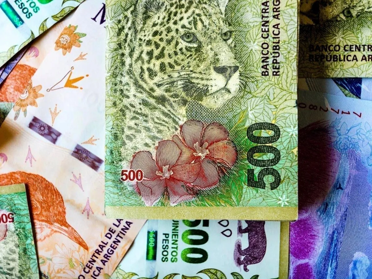 billetes_argentinos.jpg_1437684927