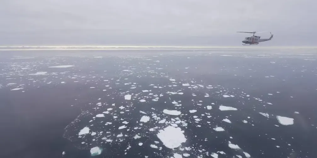 Captura de pantalla 2024-05-14 170852