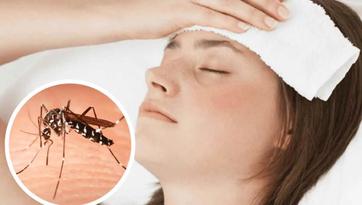 picaduras-mosquitos-dengue-sintomas-enfermedad-1jpg
