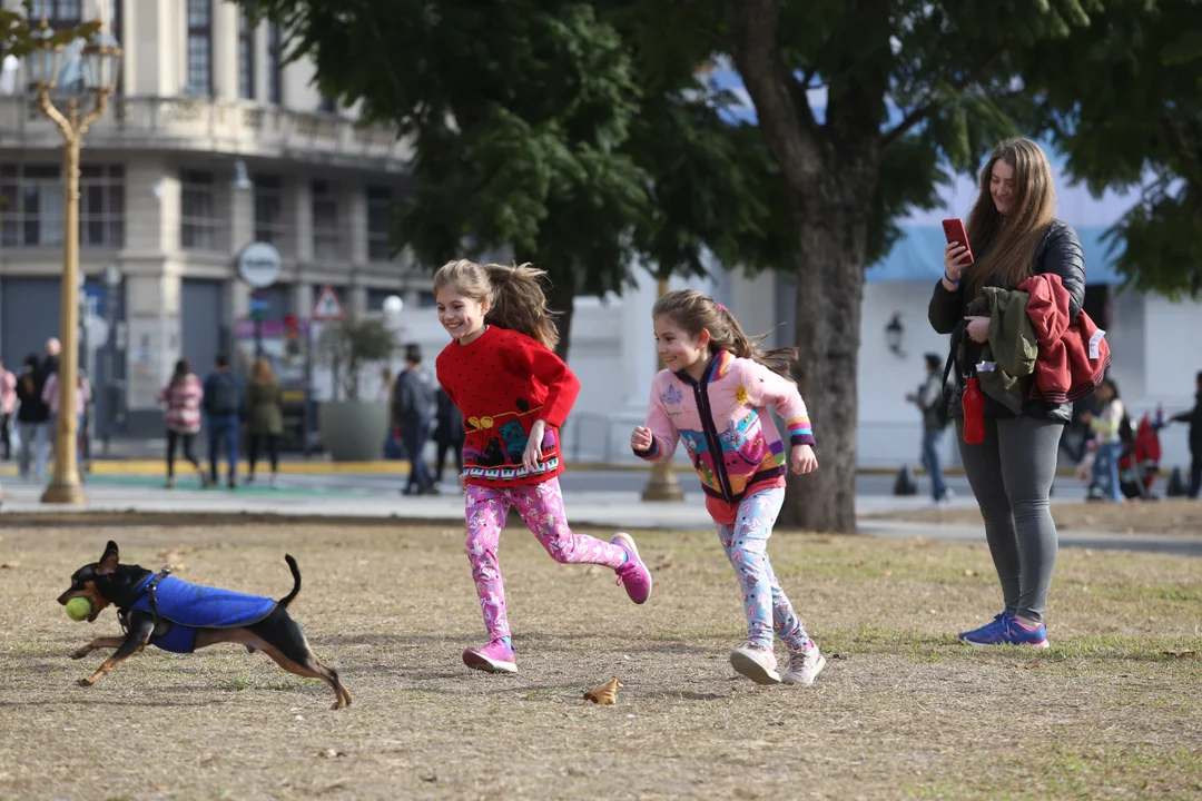 720 - 2025-06-12T083135.604