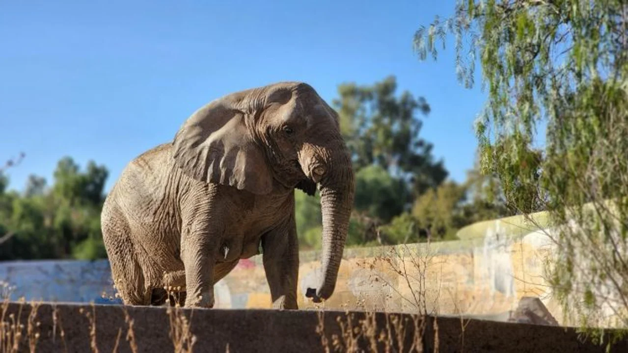 720 - 2025-04-03T083854.556