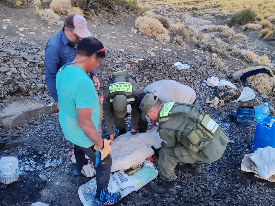 720 - 2025-04-14T084729.827