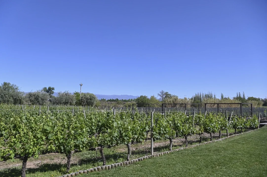 720 - 2025-11-07T101036.932