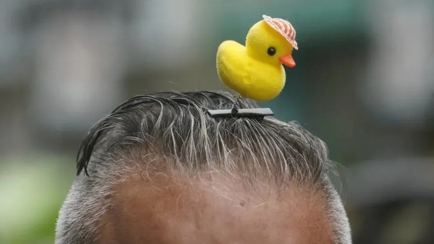 patitos-amarillos_862x485