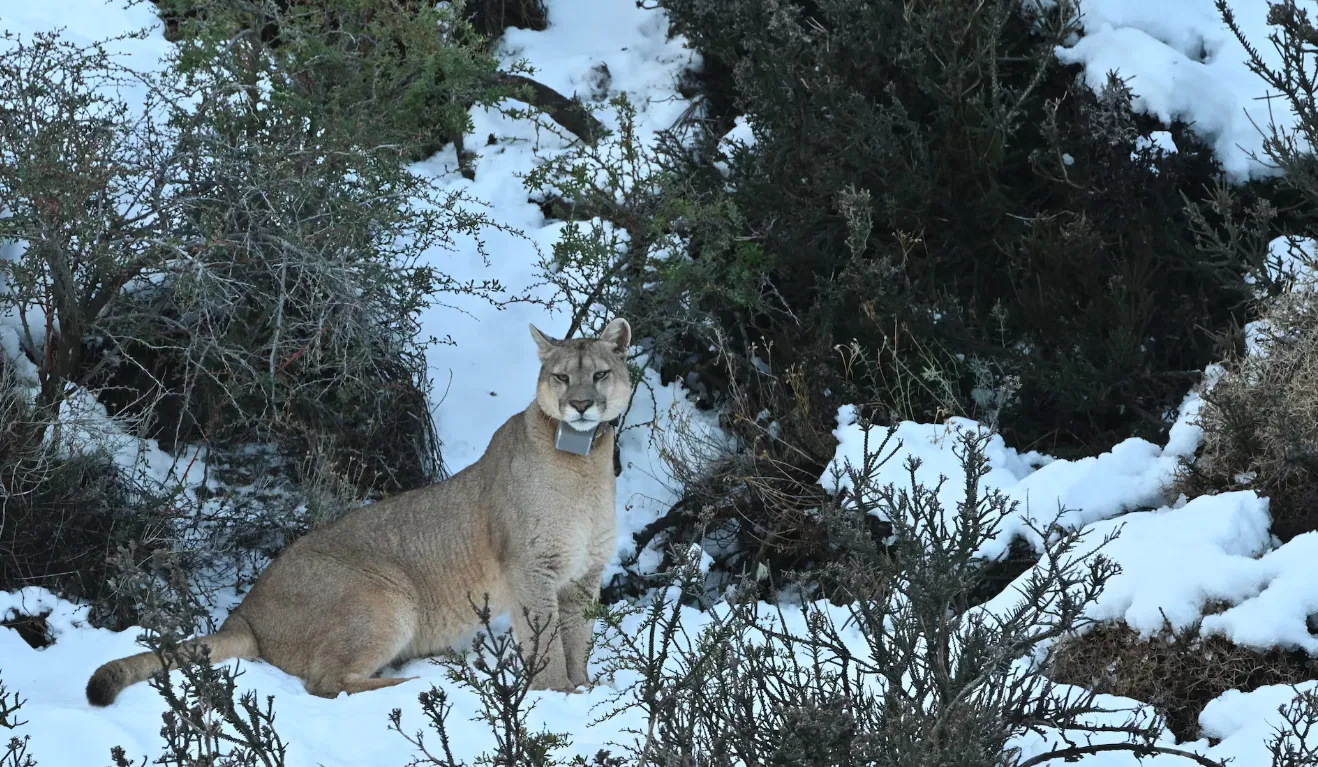 Captura de pantalla 2024-11-24 152418