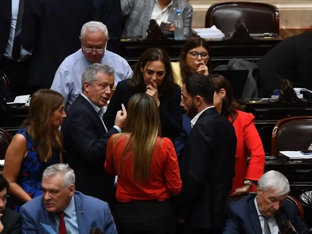 nota-1736767-gobierno-tiene-consenso-para-eliminar-paso-oposicion-insistira-priorizar-boleta-unica-papel-1087475