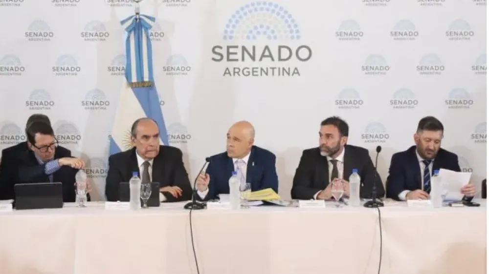 nota-1733336-senado-analiza-bases-plenario-comisiones-1084012