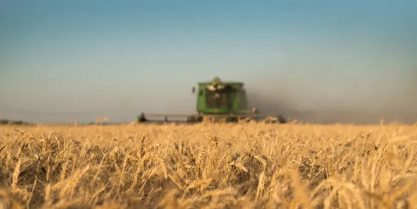 Captura de pantalla 2024-06-11 220733