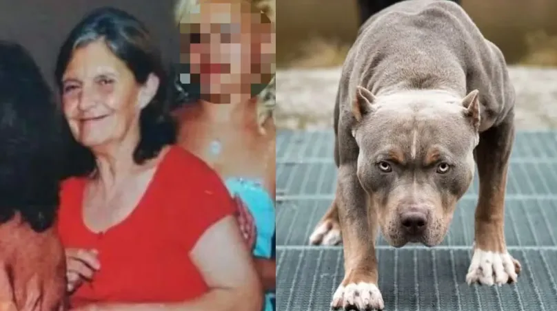 Captura de pantalla 2024-05-20 081538